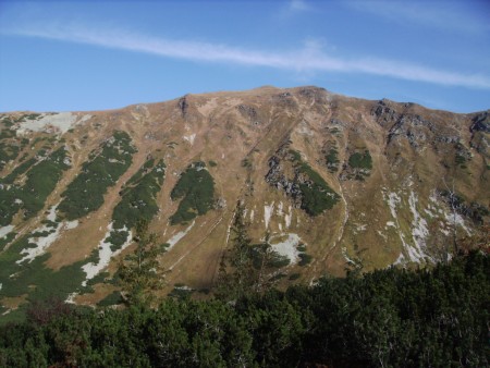 Roháčake končiare